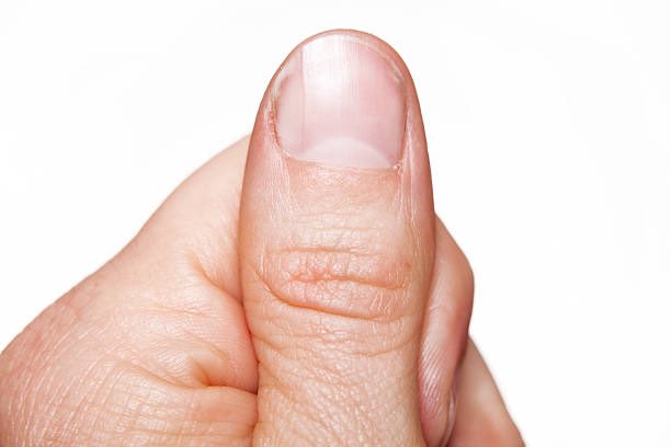 6Thumbs tweet media