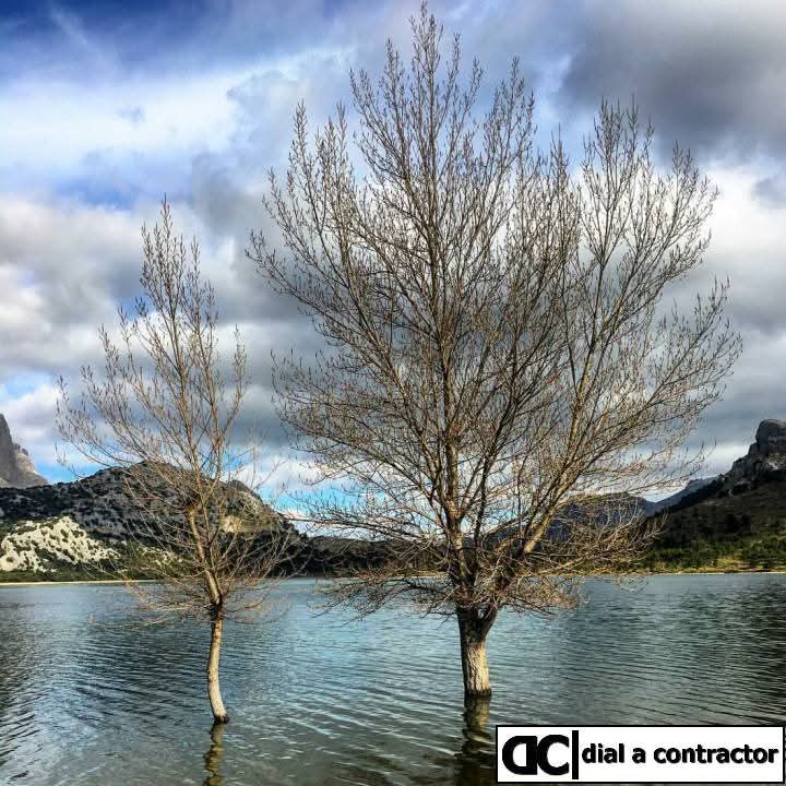 DialAContractor's tweet photo. Life is as extreme as you want to make it. (quoted from Sponge Bob, he is wise) #sotrue https://t.co/L2cBO6Ceqh