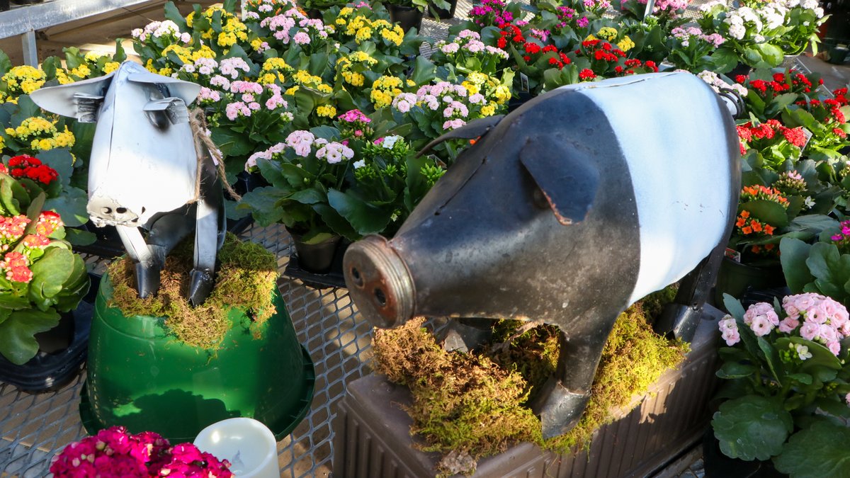 RMHC Knoxville tweet media