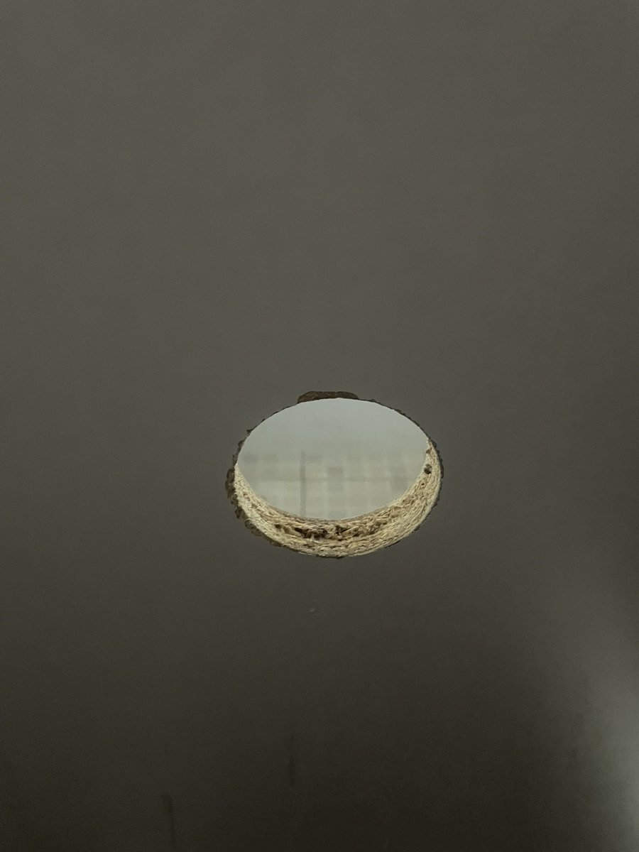 玩了一个小马驹儿 #北京鸟洞 #马驹桥鸟洞