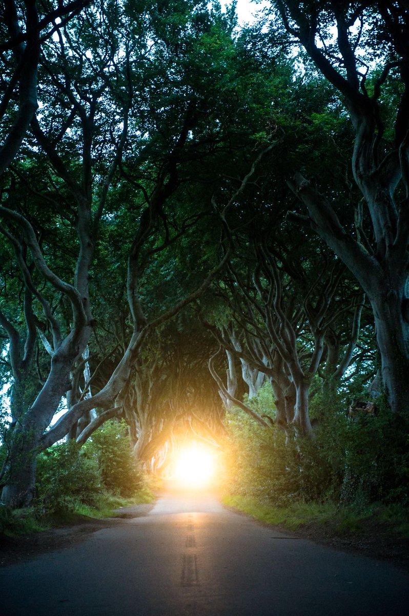 Oh about 7 years ago, the dark hedges, famed for #GameofThones