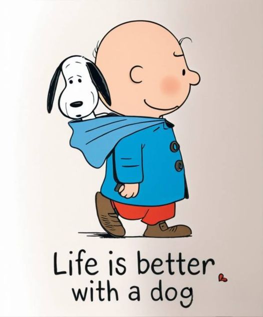 DogLovers03's tweet image. 