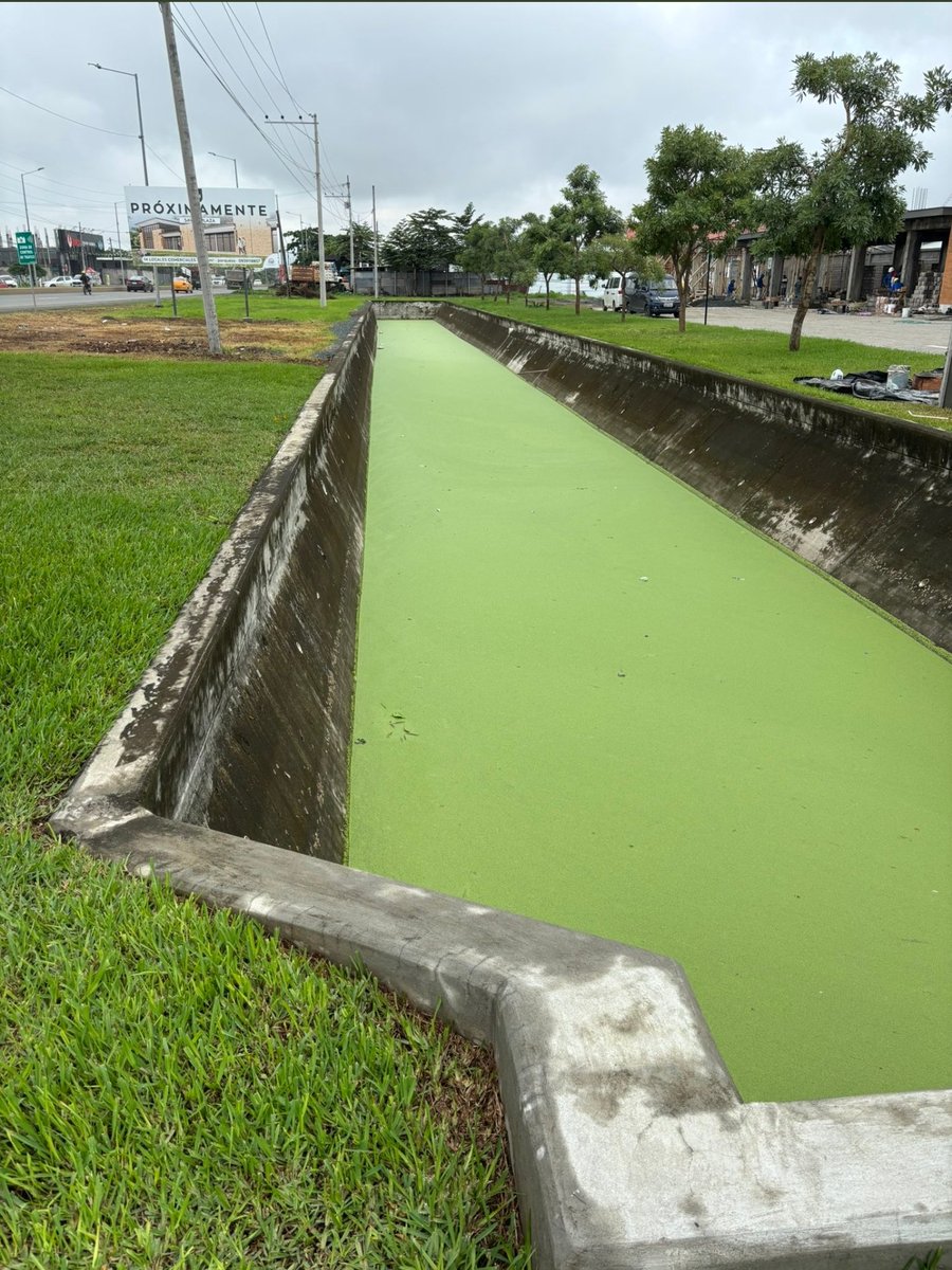 ComunidLaAurora's tweet photo. #Atención #DenunciaCiudadana 

El canal ubicado en la via #Salitre a la altura de Savali y Málaga II se encuentra tapado y esto ocasiona aguas estancadas del cual emiten un olor fetido, mal aspecto y los mosquitos nos llevan en peso.

Su ayuda urgente @AlcaldiadeDaule, ya que este tema esta ocasionando enfermedades a la comunidad del sector, afectando a niños y adultos.
Se ha solicitado por varias ocasiones inspecciones pero hasta ahora @WilsonCanizares sordo y mudo

Cabe indicar que en ese punto, existe una entrada una cantera, pero al parecer hay intereses de por medio, ya que hasta el momento el municipio mira a otro lado.