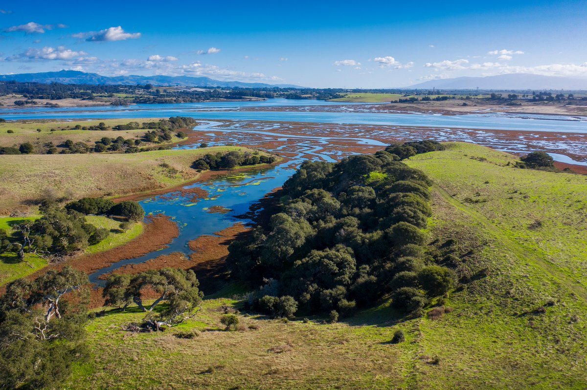 California Department of Fish and Wildlife tweet media
