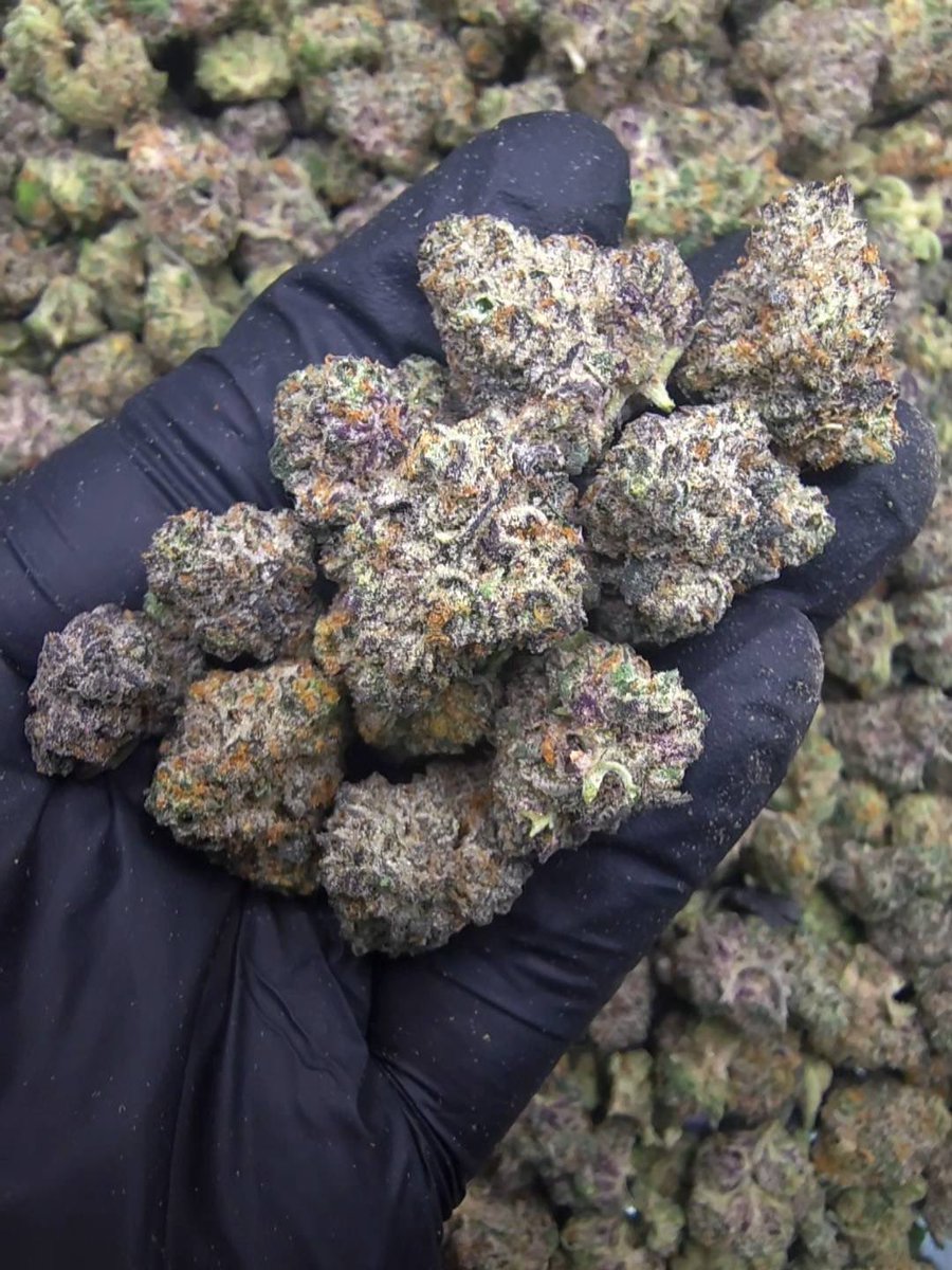 42xWeeD's tweet photo. Pink Diamond S1
Size : Pop
Hybrid
Thc 25%

100G= 2000฿
50G= 1200฿
30G= 750฿

สนใจรายละเอียดเพิ่มเติมแอดไลน์ 👇🏻
https://t.co/J0VpYgqo9C

#กัญชา #กัญชาราคาถูก #กัญชาog #กัญชาอัดแท่ง #กัญชานอก #พันลำ #กัญชาโอจี #กัญชารังสิต #กัญชากรุงเทพ #กัญชาเชียงใหม่ #cannabisculture https://t.co/HTcIjKGm2R