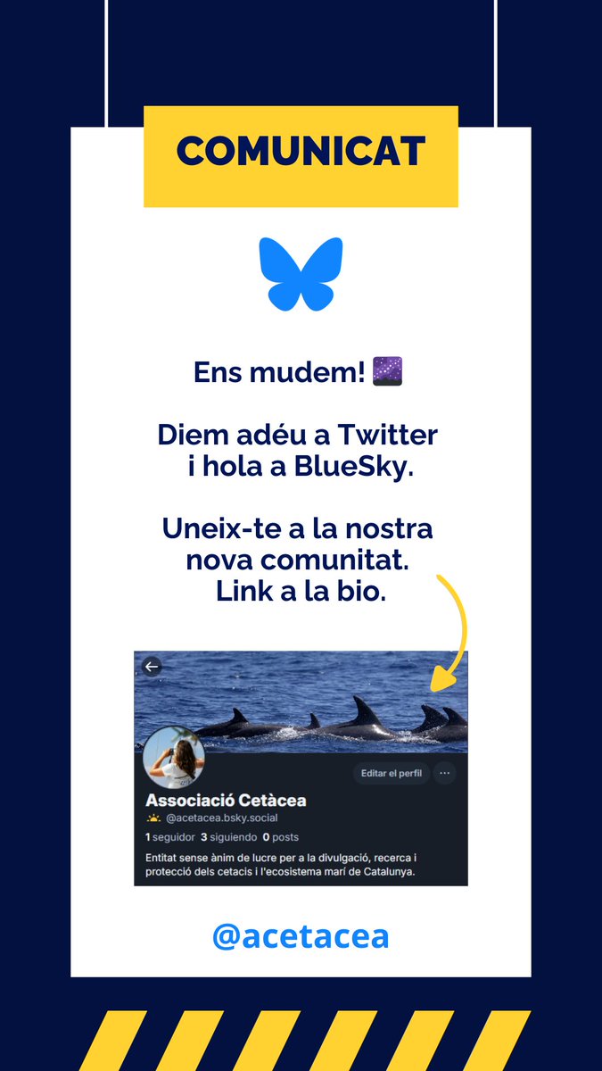 Associació Cetàcea tweet media
