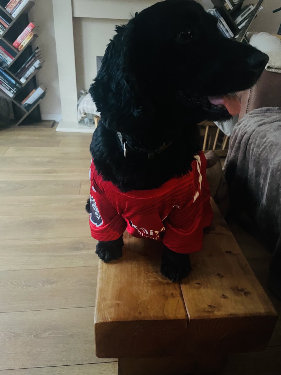 HGrafdad's tweet image. Oh good, my birthday gift is early #nffc #ureds