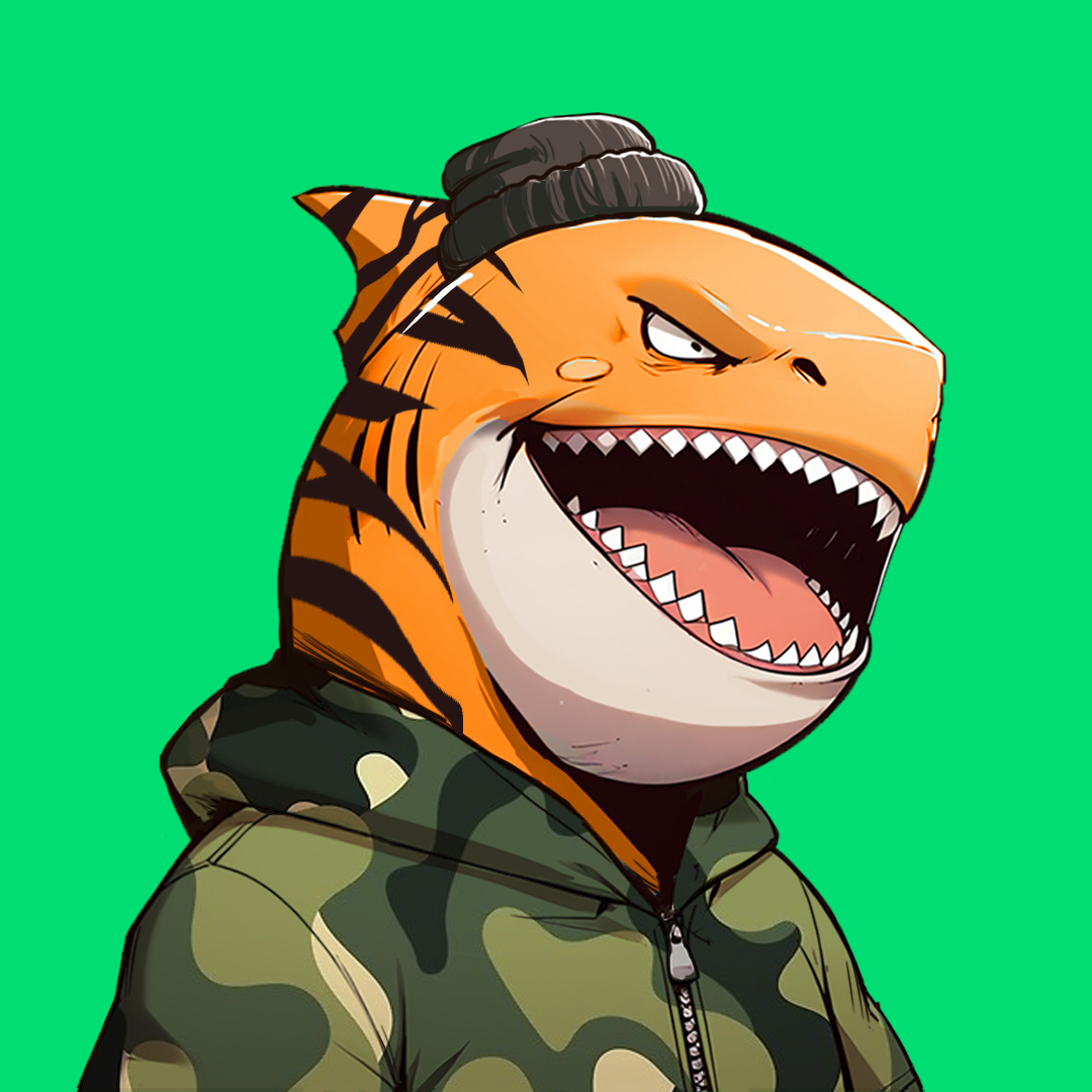 The Fins tweet media