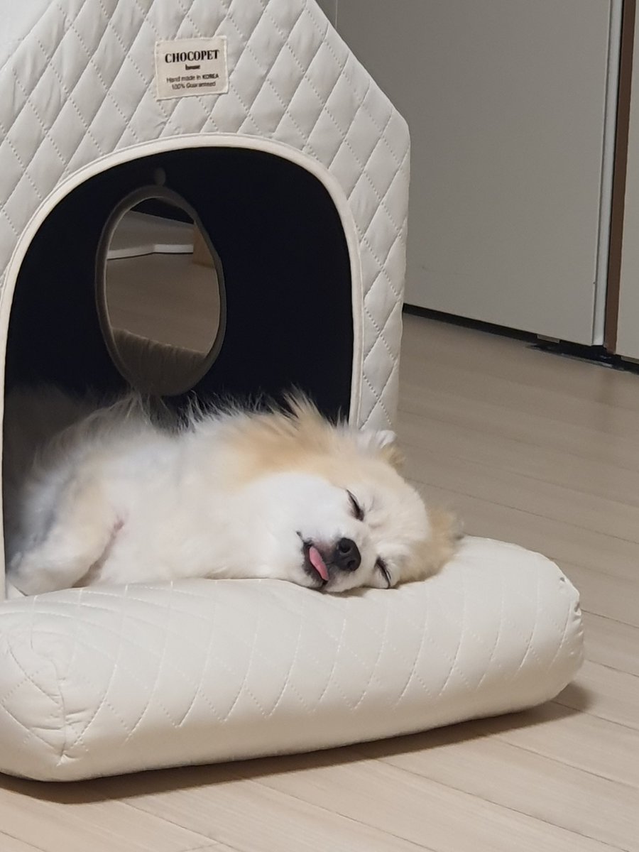 Anboyun's tweet photo. 한낮의                         한밤의
호두                             ...누구세요? https://t.co/LE9IwV2n7X