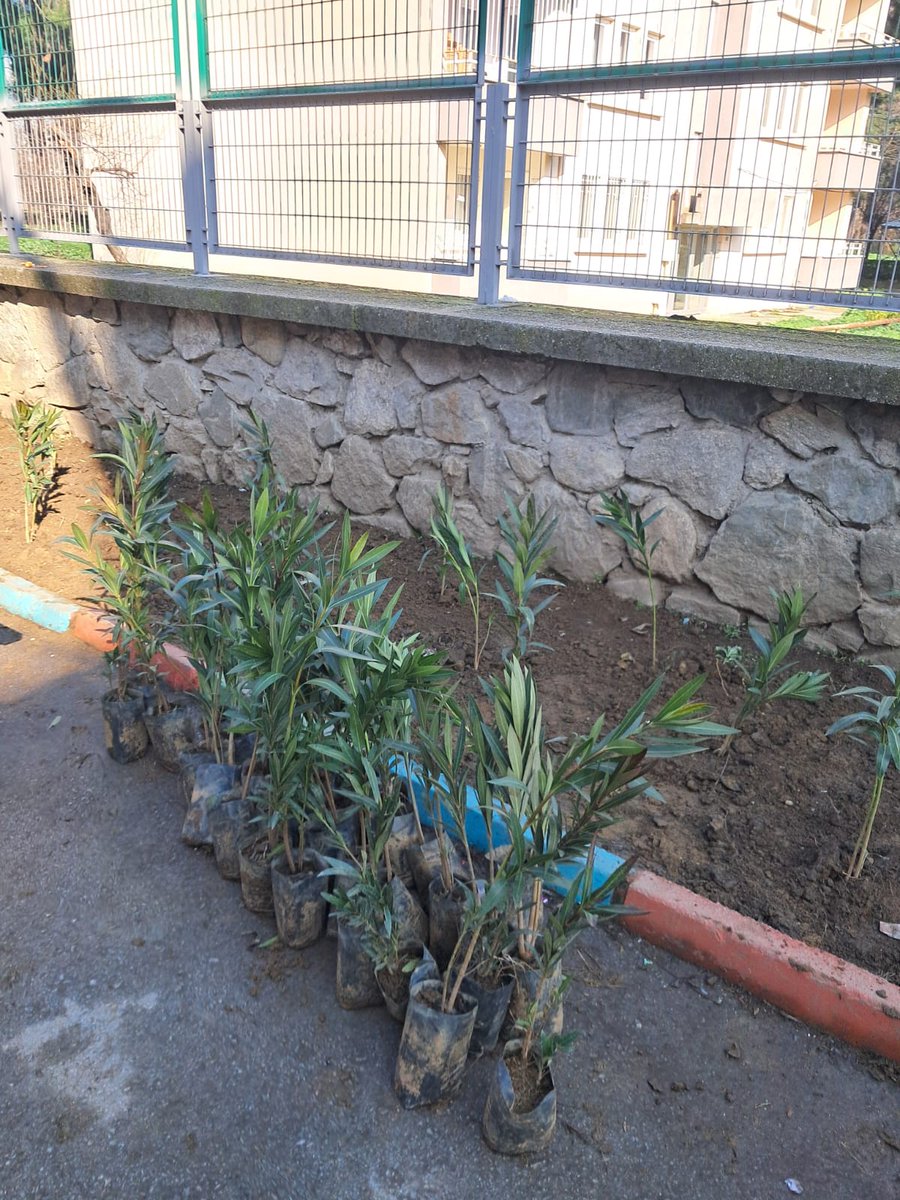 Okul bahçemizin yeşillendirilmesi ve düzenlemesini yapan Bursa Büyükşehir Belediyesi Park ve Bahçeler Dairesi Başkanlığı yetkililerine ve çalışanlarına çok teşekkür ederiz.
<a href="/bursabuyuksehir/">Bursa Büyükşehir Belediyesi</a>