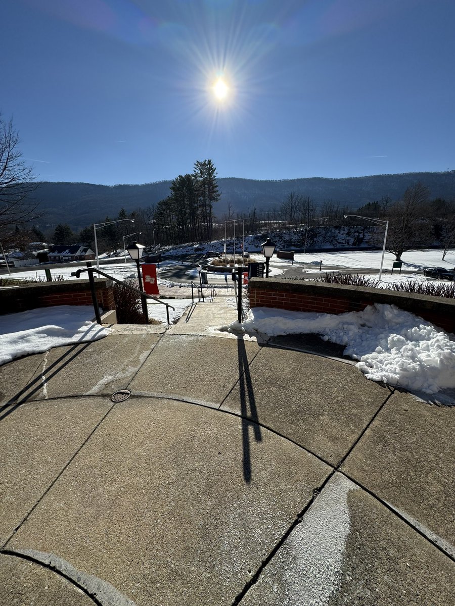 Ziggy Harris tweet media