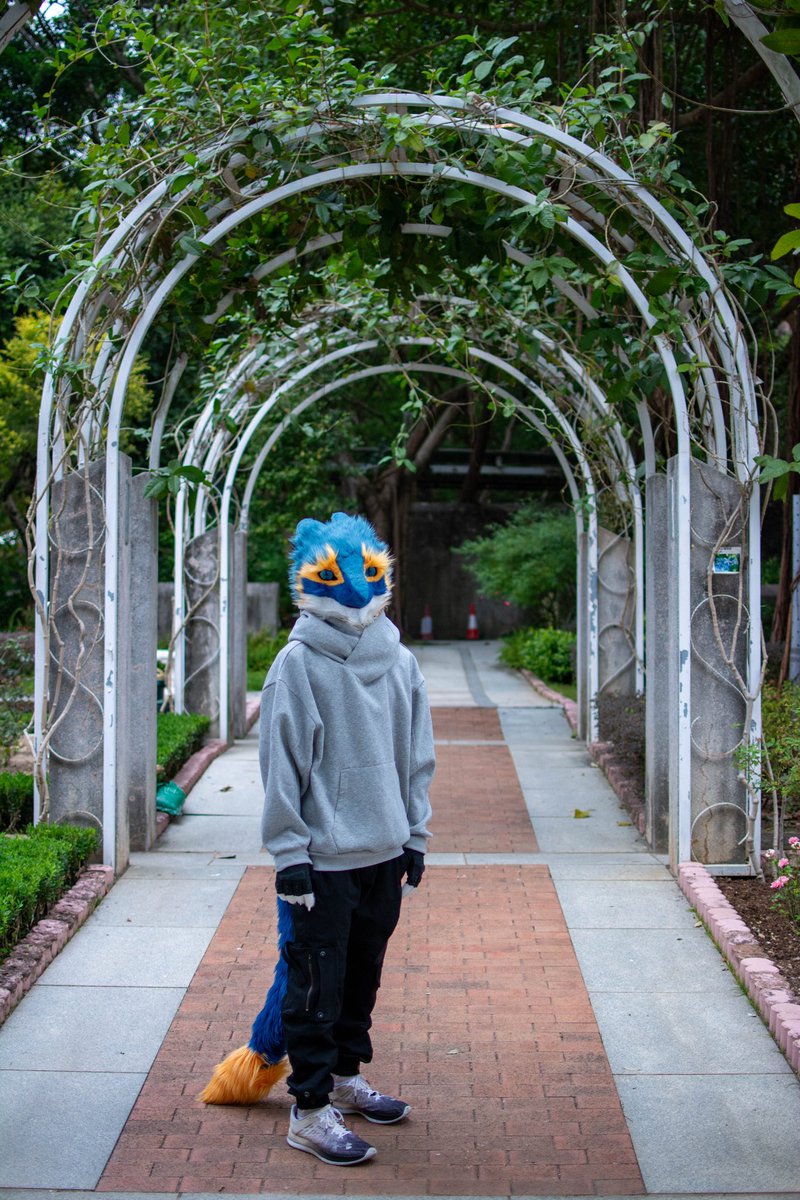 hewwo
am smol

please take me home 👉👈

📸: @FoxJLH 🧡
#FursuitFriday