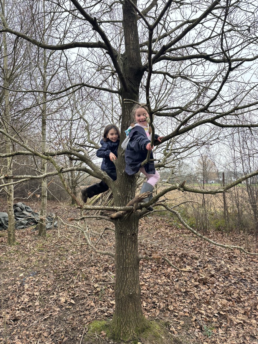 HWD_Lower's tweet photo. 1F’s first trip to Forest School this year was a success! #HazelwoodYear1 https://t.co/itUJmTV2B8