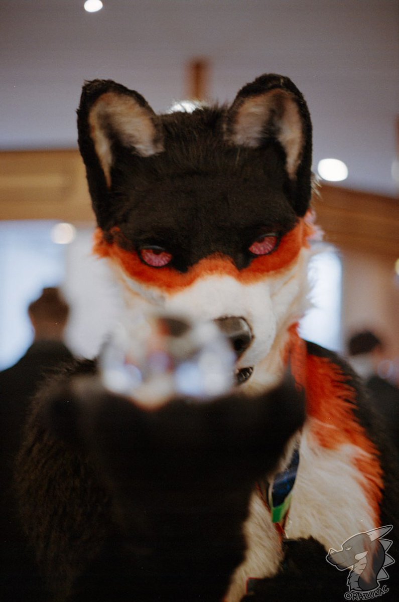 Tayron Blackwolf (@tayronblackwolf) on Twitter photo Happy #FursuitFriday :3
Long Time Not more Posting this uwu
The Time Running fast :o
Ort: Furvester 2024 (Reutlingen)
Foto von:
<a href="/razurac/">Razurac the Dragon / Vantaz the Sergal</a>
Suitmaker from me:
<a href="/DireCreatures/">DireCreatures</a> Happy #FursuitFriday :3
Long Time Not more Posting this uwu
The Time Running fast :o
Ort: Furvester 2024 (Reutlingen)
Foto von:
<a href="/razurac/">Razurac the Dragon / Vantaz the Sergal</a>
Suitmaker from me:
<a href="/DireCreatures/">DireCreatures</a>