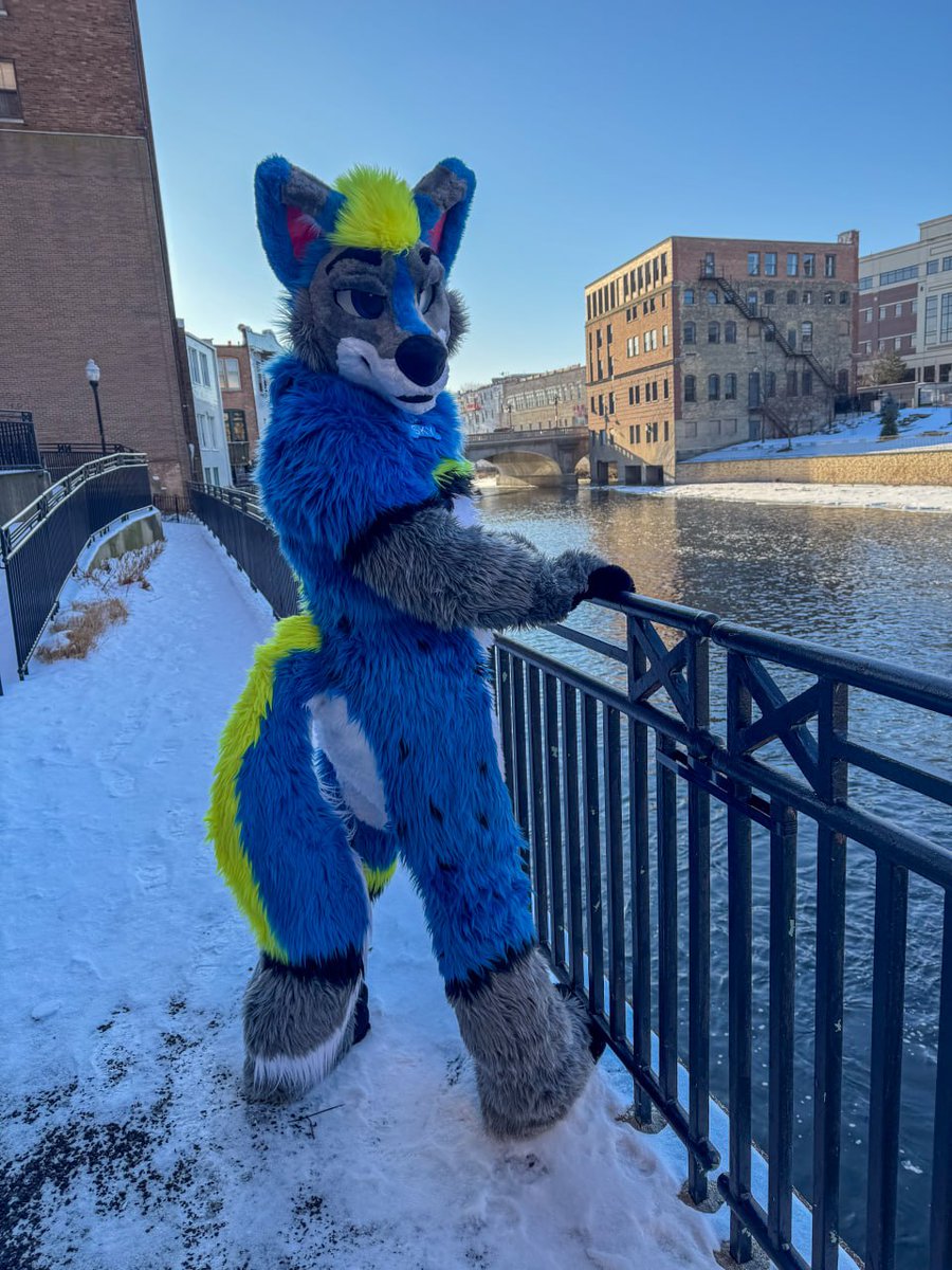 First #FursuitFriday of 2025.   Went out and enjoyed the snow day.   Really enjoying the new city.  

#fursuit #fursuiter #FursuitEveryday #bluefursuit