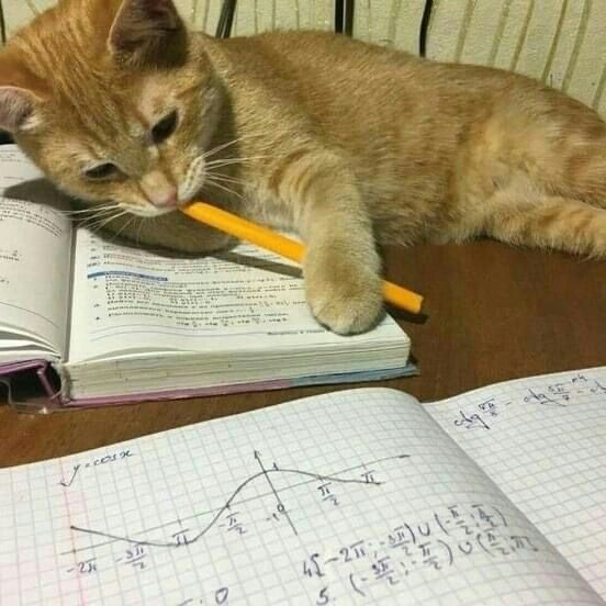 MANAVcodes's tweet photo. Completed Lecture 4 (function){
With @ShradhaKhapra_ mam..
Thanks for DSA series for us
Cout<<"bada programmer ban rha hu kya? 😗"<<function; https://t.co/H64daAkqj5