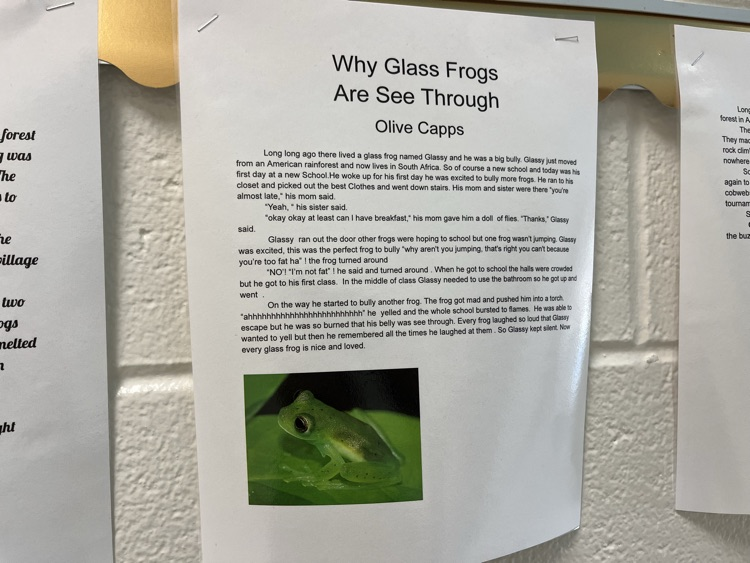 north_chatham's tweet photo. Check out our 3rd graders' Frog Pourquoi Tales! Students wrote these during @ELeducation Module 2. 🖤💛 https://t.co/BaV0474XC3