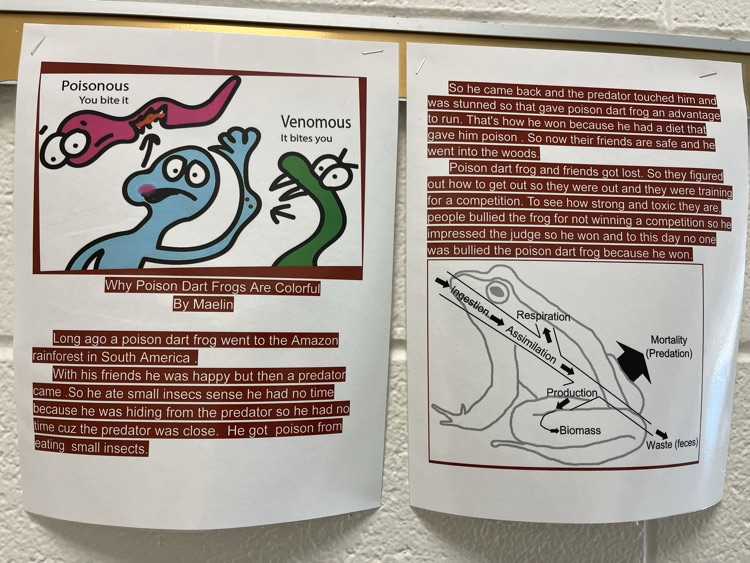 north_chatham's tweet photo. Check out our 3rd graders' Frog Pourquoi Tales! Students wrote these during @ELeducation Module 2. 🖤💛 https://t.co/BaV0474XC3