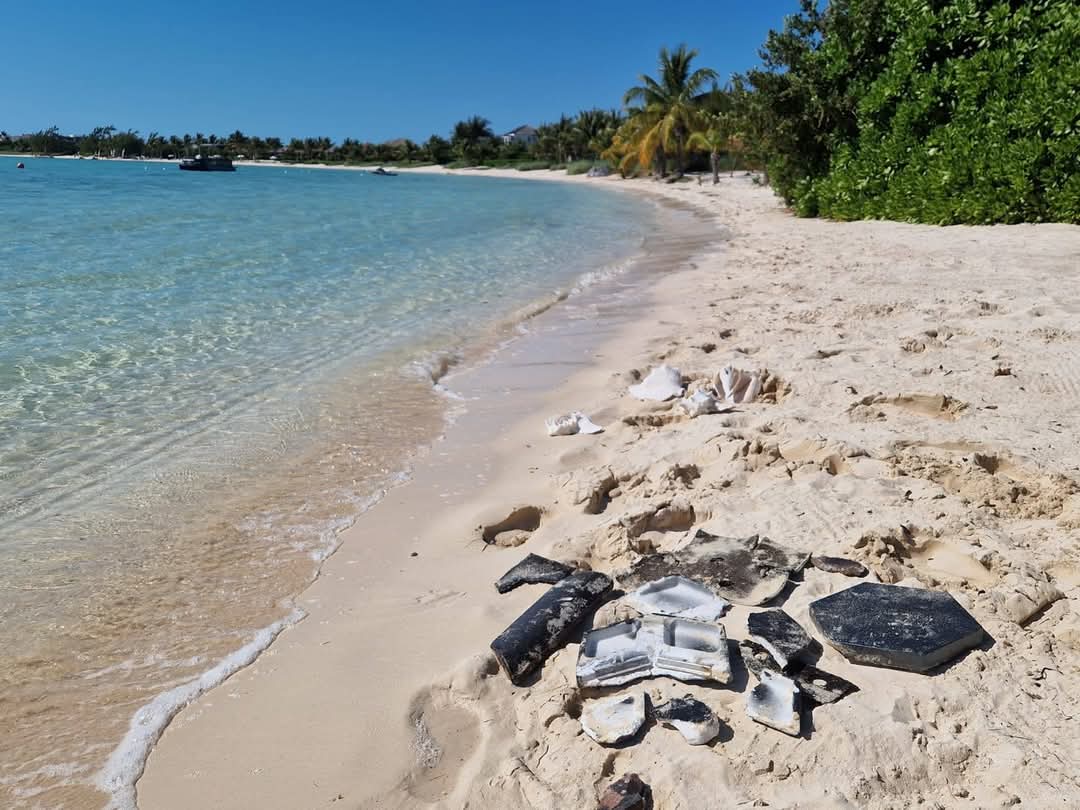 Windermere Science Festival tweet media