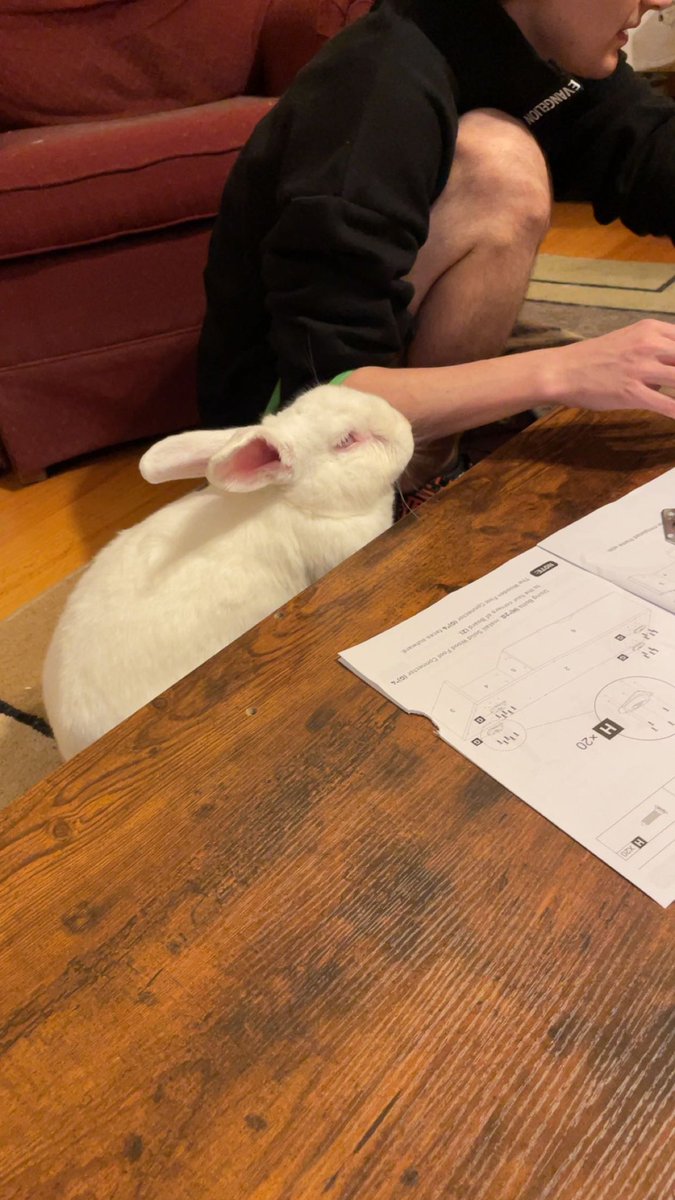 lancerofpink's tweet image. Some of my favorite pics of Bugs