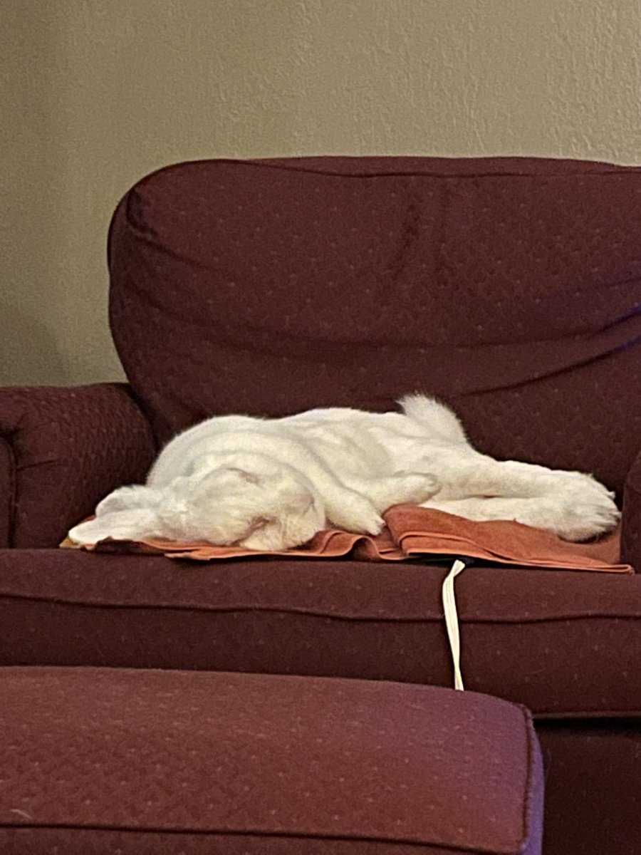 lancerofpink's tweet image. Some of my favorite pics of Bugs