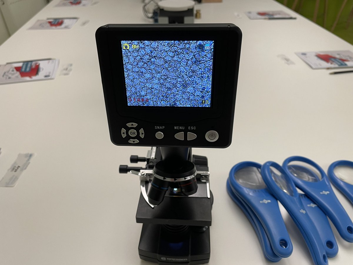 MISS_sciences tweet media