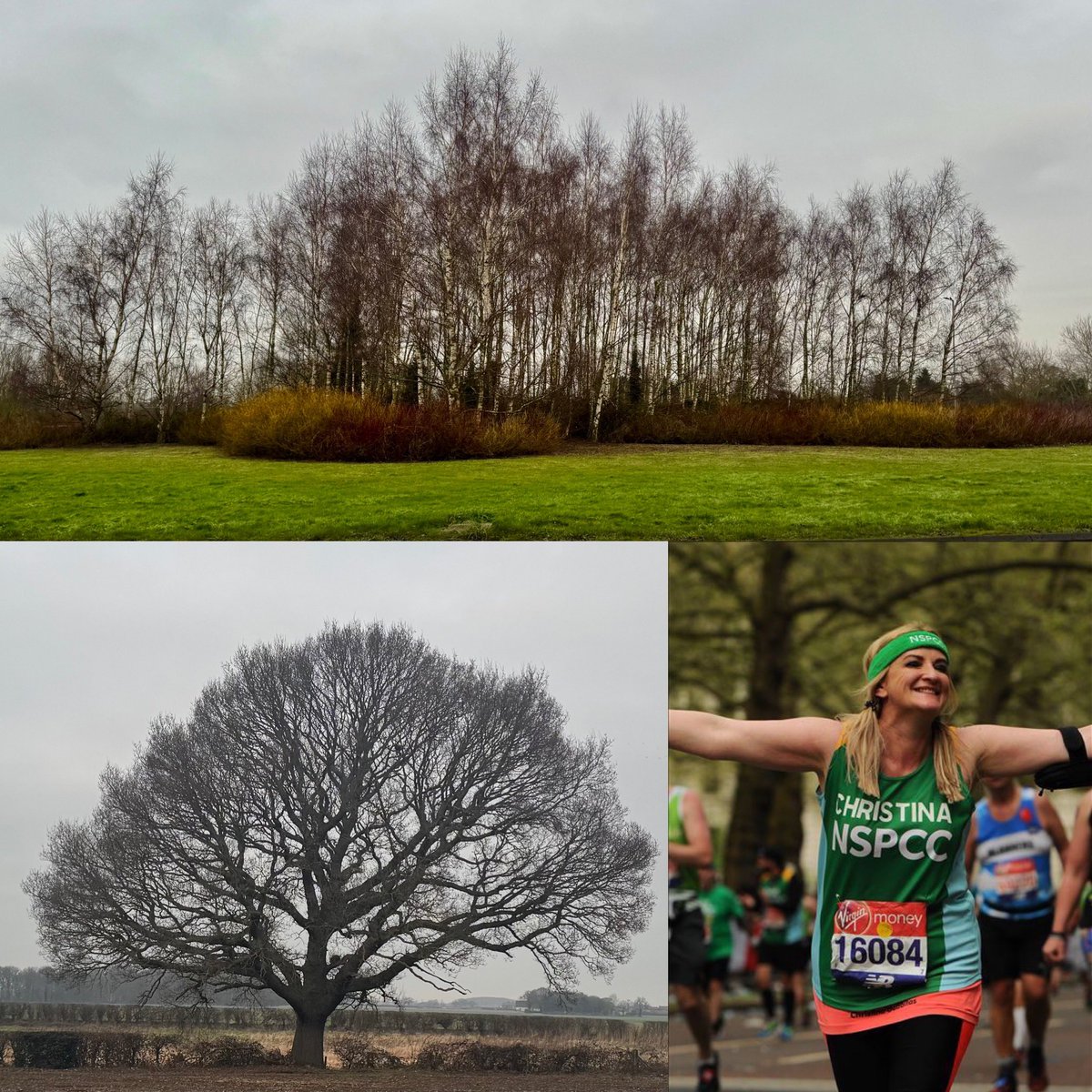 ChristiGabbitas's tweet photo. Lots of trees on my 8 mile road run today #TreeClub. 🌳
I’m raising funds for @NSPCC with my 4th @LondonMarathon. If you follow me and see this message, please could you like or RT? 💚 Here’s my fundraising page: 
https://t.co/vlQbpScfbj
#children #nspcc #childline #running https://t.co/NjPE0T3VcN