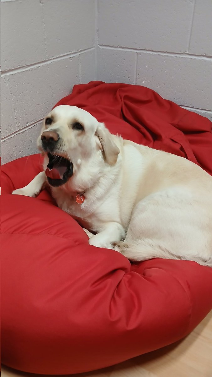 Millstreet Community School tweet media