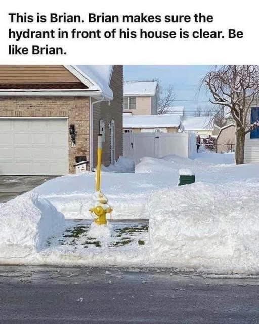 Finally, someone gets us <a href="/allthebrianspod/">All The Brians</a>