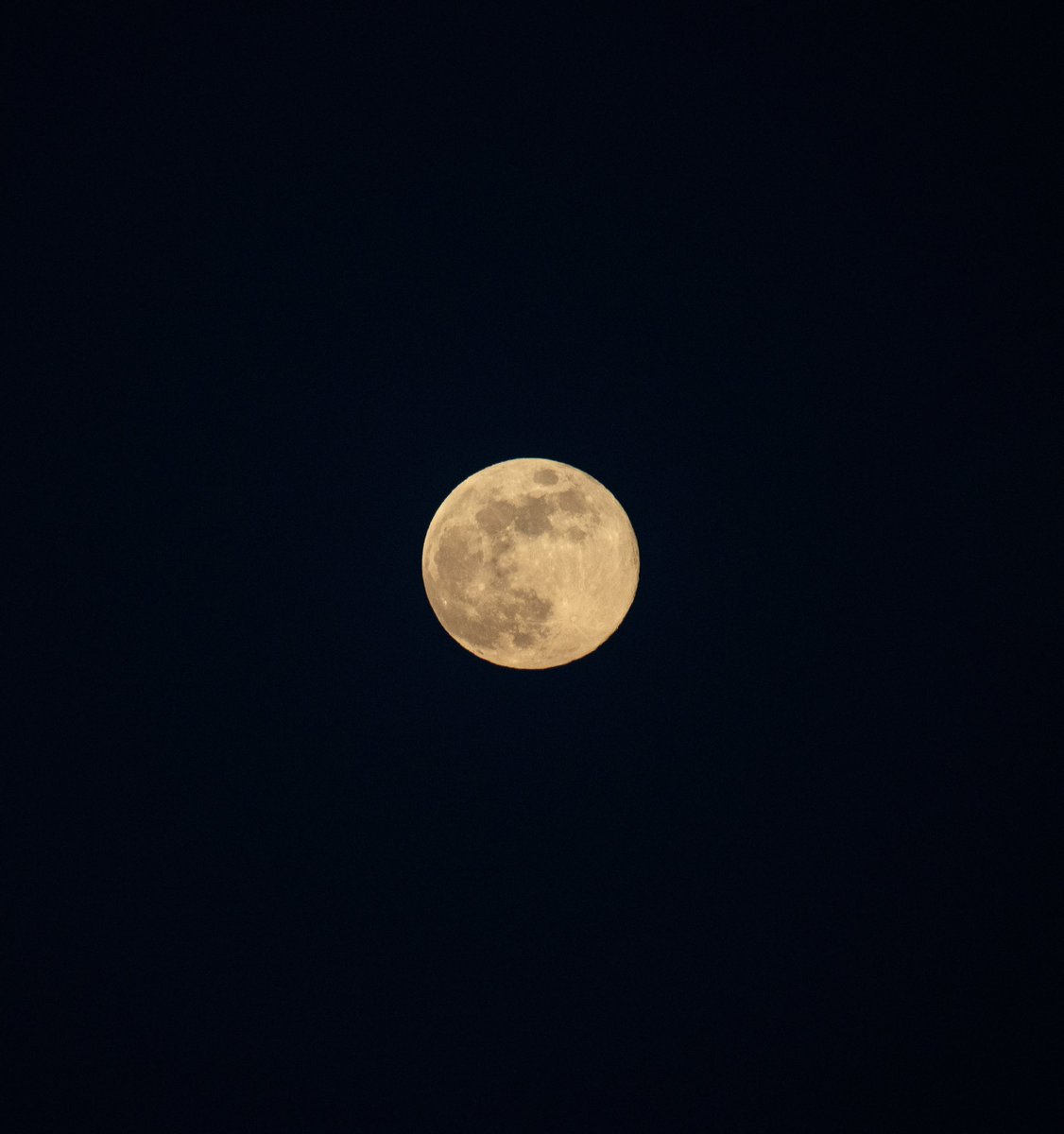 estop_central's tweet photo. 🏢 Sandusky, OH / Wolf Moon 🌕

#cedarpoint #sixflags #rollercoaster #ride #attraction #sandusky #ohio #moon https://t.co/7GgCnHowbf