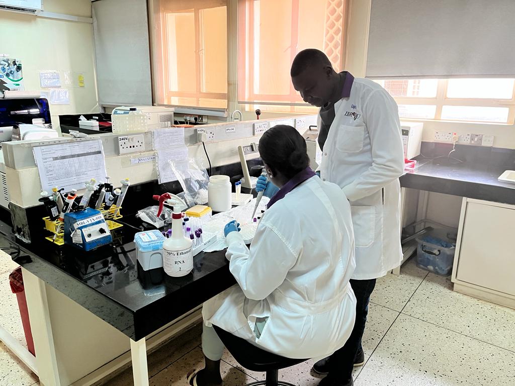 Fogarty at NIH (@fogarty_nih) on Twitter photo This #InternationalMentoringDay, learn more about Dr.Kayongo, a #Fogarty trained investigator at <a href="/Makerere/">Makerere University</a> studying #HIV and chronic obstructive pulmonary disease (#COPD) in Uganda
Read his story here! go.nih.gov/7ujlPXz This #InternationalMentoringDay, learn more about Dr.Kayongo, a #Fogarty trained investigator at <a href="/Makerere/">Makerere University</a> studying #HIV and chronic obstructive pulmonary disease (#COPD) in Uganda
Read his story here! go.nih.gov/7ujlPXz