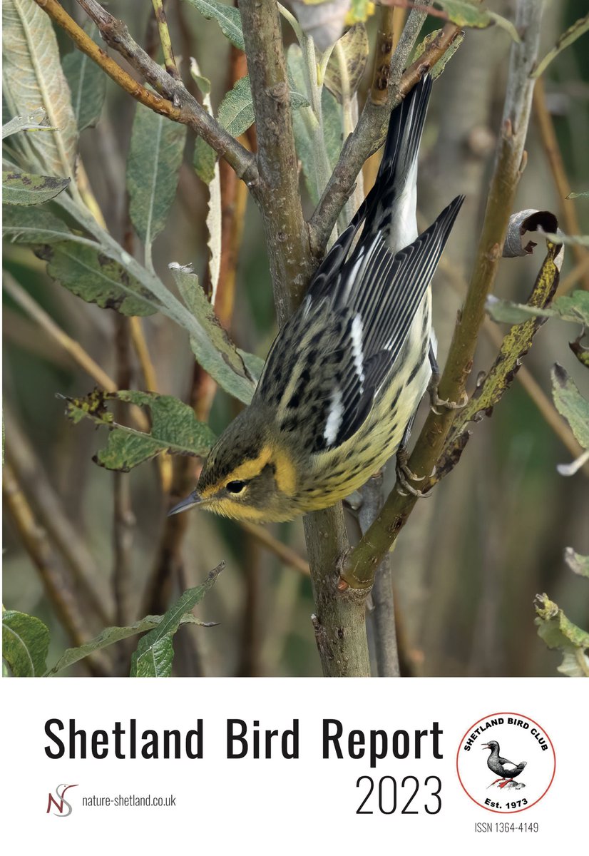 The much anticipated Shetland Bird Report 2023 is now out! Members of the Shetland Bird Club have received or will receive their copies over the next few days. Orders now being taken, please specify 2022 or 2023 report when ordering: nature-shetland.co.uk/shetland-bird-…