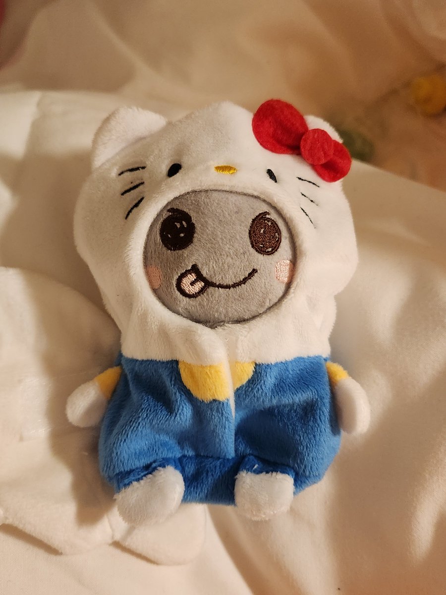 내 용돌이 키티됐어