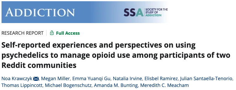 Noa Krawczyk tweet media