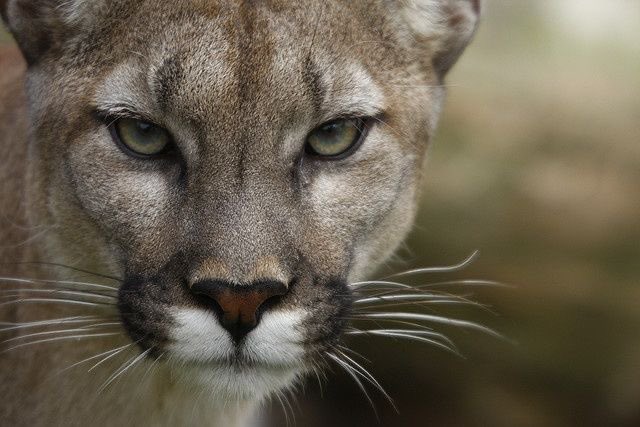 بحر 🌊 (@butterflless) on Twitter photo 