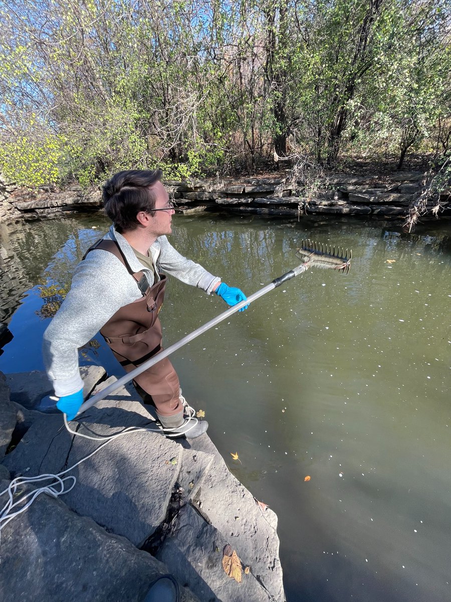 ILEPA's tweet photo. It's #FieldPhotoFriday! 📸

Take a look at one of our field biologists in action, conducting a macrophyte survey in a stream. Using a specialized rake, they toss it into the water, let it sink, and then retrieve it to identify and count the aquatic plants. https://t.co/39LY2bFA8d