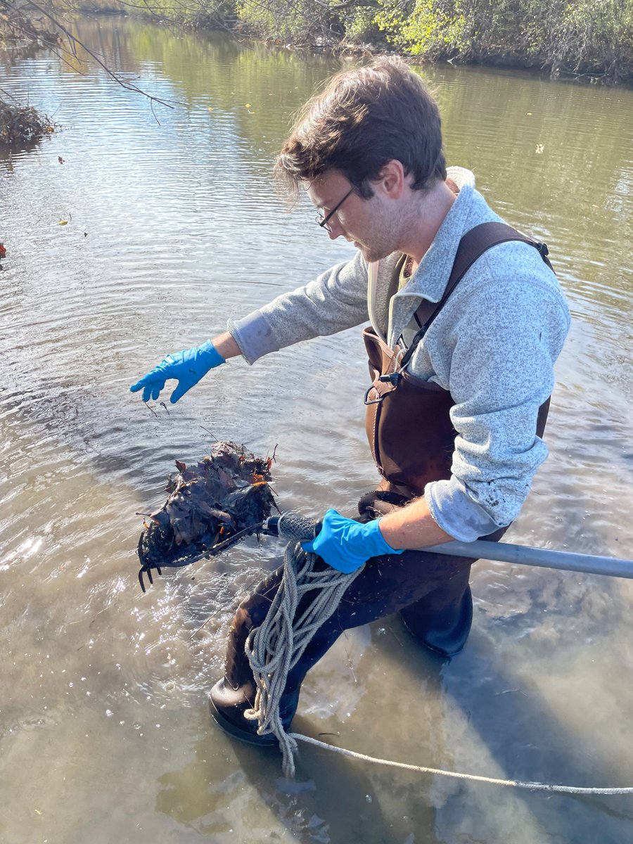 It's #FieldPhotoFriday! 📸

Take a look at one of our field biologists in action, conducting a macrophyte survey in a stream. Using a specialized rake, they toss it into the water, let it sink, and then retrieve it to identify and count the aquatic plants.