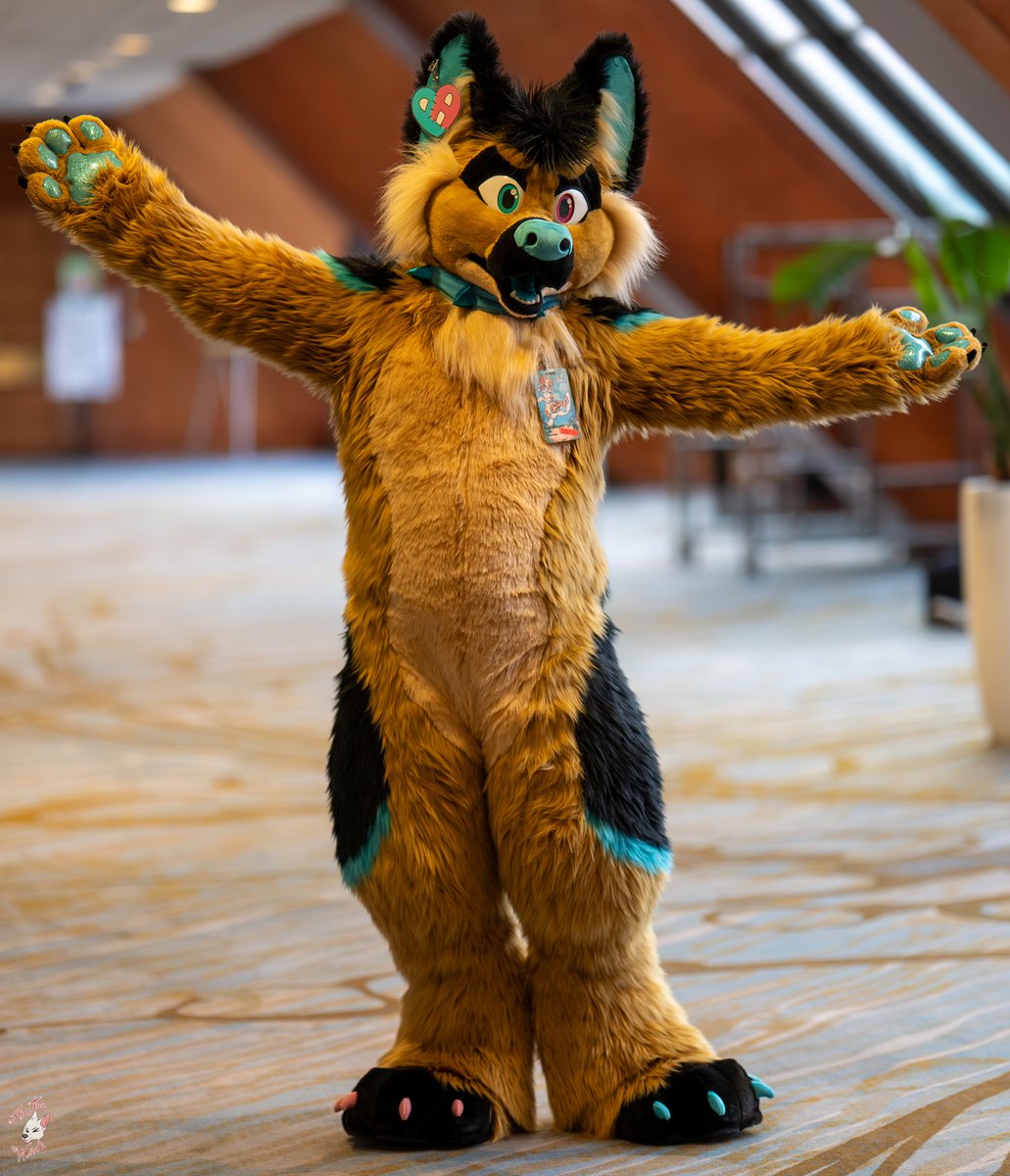 daigo_bitch's tweet image. Happy #FursuitFriday to everyone ❤️💕💕💖