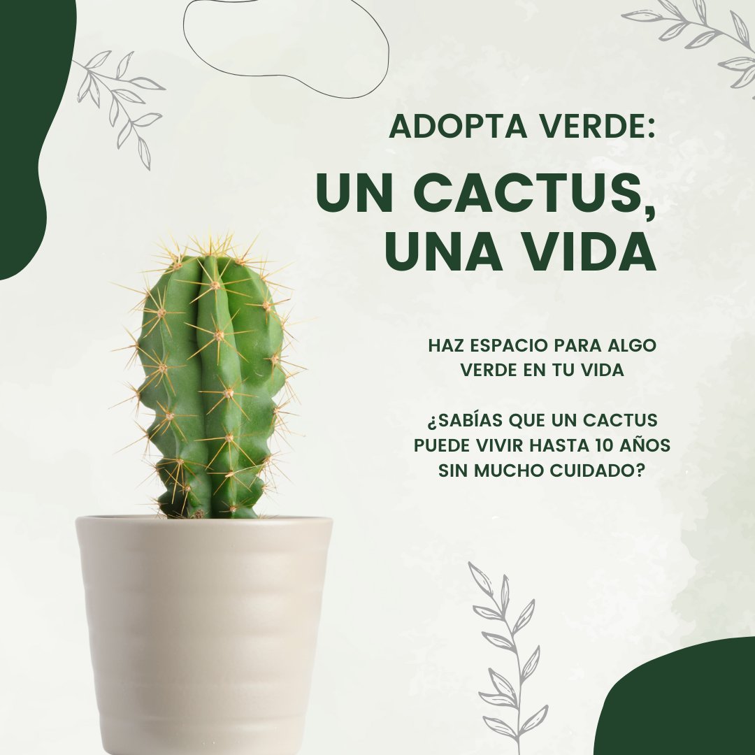 DGroupPTech's tweet photo. ¿YA CONOCES NUESTRA CAMPAÑA DE ADOPTA VERDE? 🍀🌿🌱

🌍En D-Group Personal Tech, no solo somos una empresa tecnológica líder, sino que también nos preocupamos profundamente por nuestro planeta. https://t.co/zXk4h2wMdL