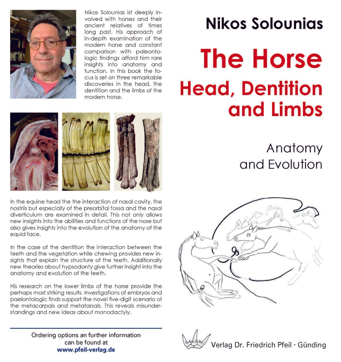 NYITCOMDO's tweet photo. Congratulations to Dr. Nikos Solounias, NYITCOM Professor of Anatomy, on the release of his new book The Horse – Head, Dentition and Limbs: Anatomy and Evolution, exploring equine anatomy and evolution. Order here: https://t.co/zNjy4rVy9d

#nyitcom #nyitanatomy  @nyitcomar https://t.co/uWXfqKywci