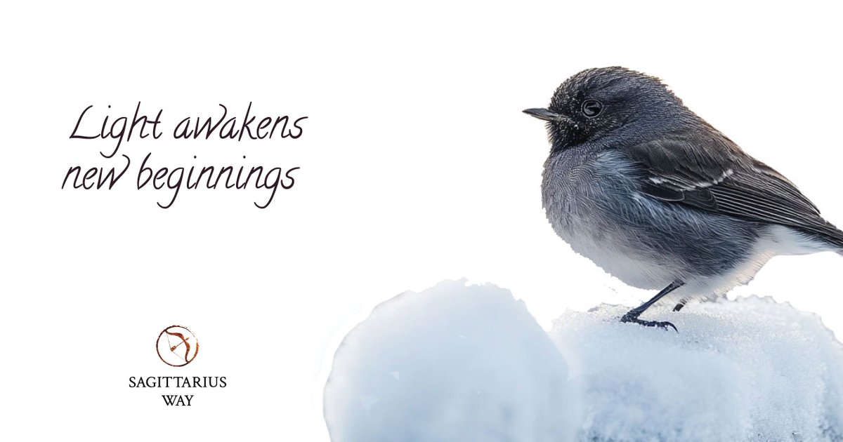 Sagittarius Way tweet media