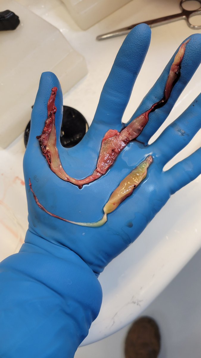 Richard Hirschman tweet media