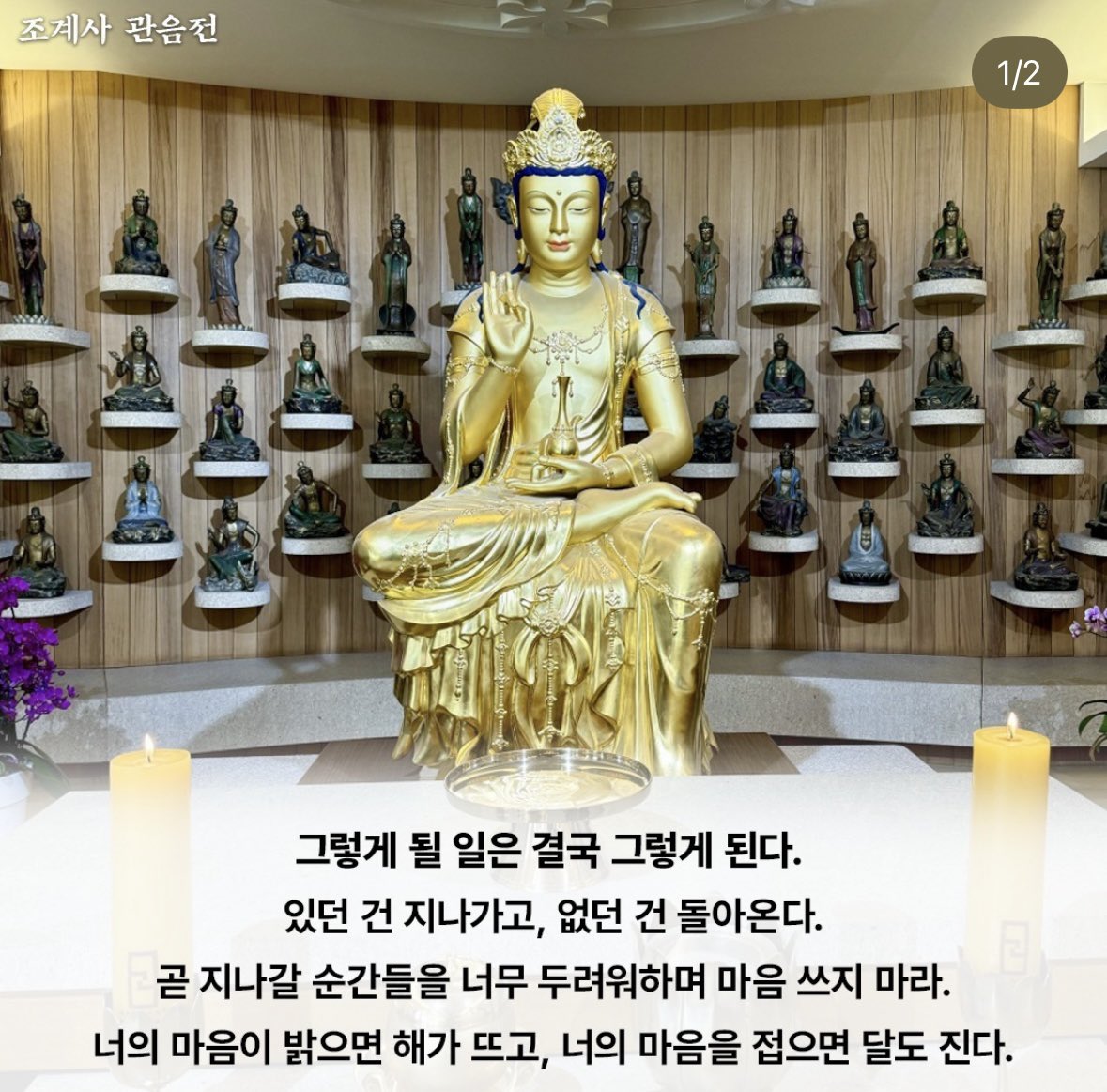 herdaebak_'s tweet photo. 부처님이 너무 좋다 어카냐…
부처님 아니면 누구한테 이렇게 위로받아…

출처: 조계사 인스타그램 https://t.co/1XmiHqNsBB