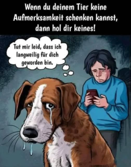 Gem_f_d_Tiere's tweet photo. EIN LEBEWESEN SOLLTE IMMER PRIORITÄT NUMMER 1 SEIN UND KEIN GEGENSTAND!!! https://t.co/VtQr2DeJae