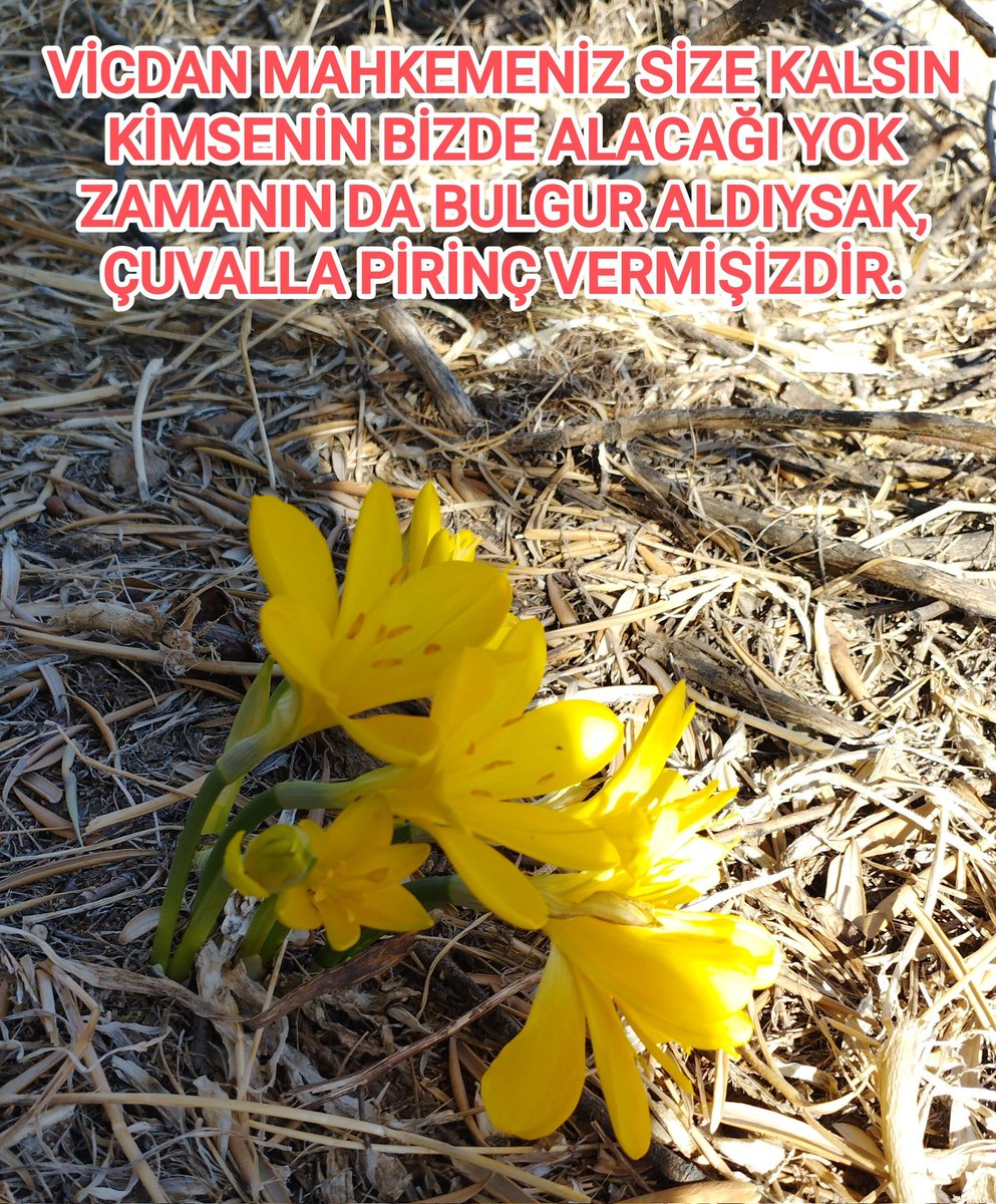 #izmir 
#İstanbul