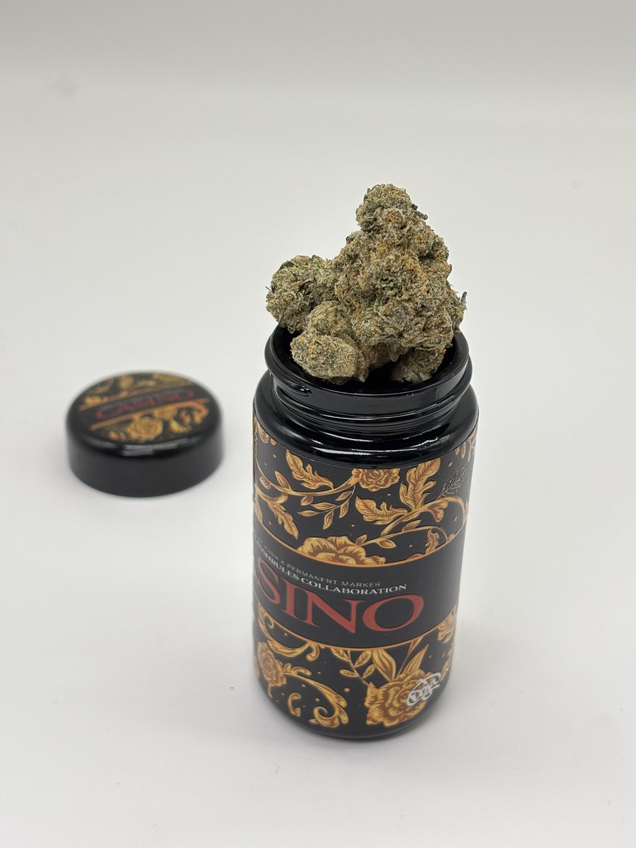 Casino by <a href="/doja_pak/">doja.pak</a> x <a href="/Casshrules/">Cassh</a> 
(Hollywood Pure Kush x Permanent Marker)
Grown in California

This potent blend combines the best of both worlds, offering a balanced yet powerful experience. The effects lean towards relaxation, with deep body calming sensations, thanks to the