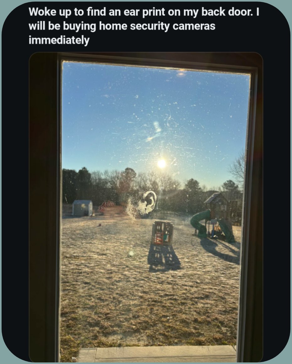 AskAubry 🦋 🐆🦝 tweet media