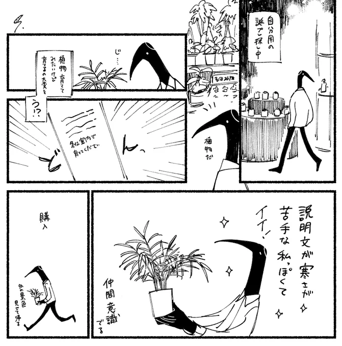 植物買った 