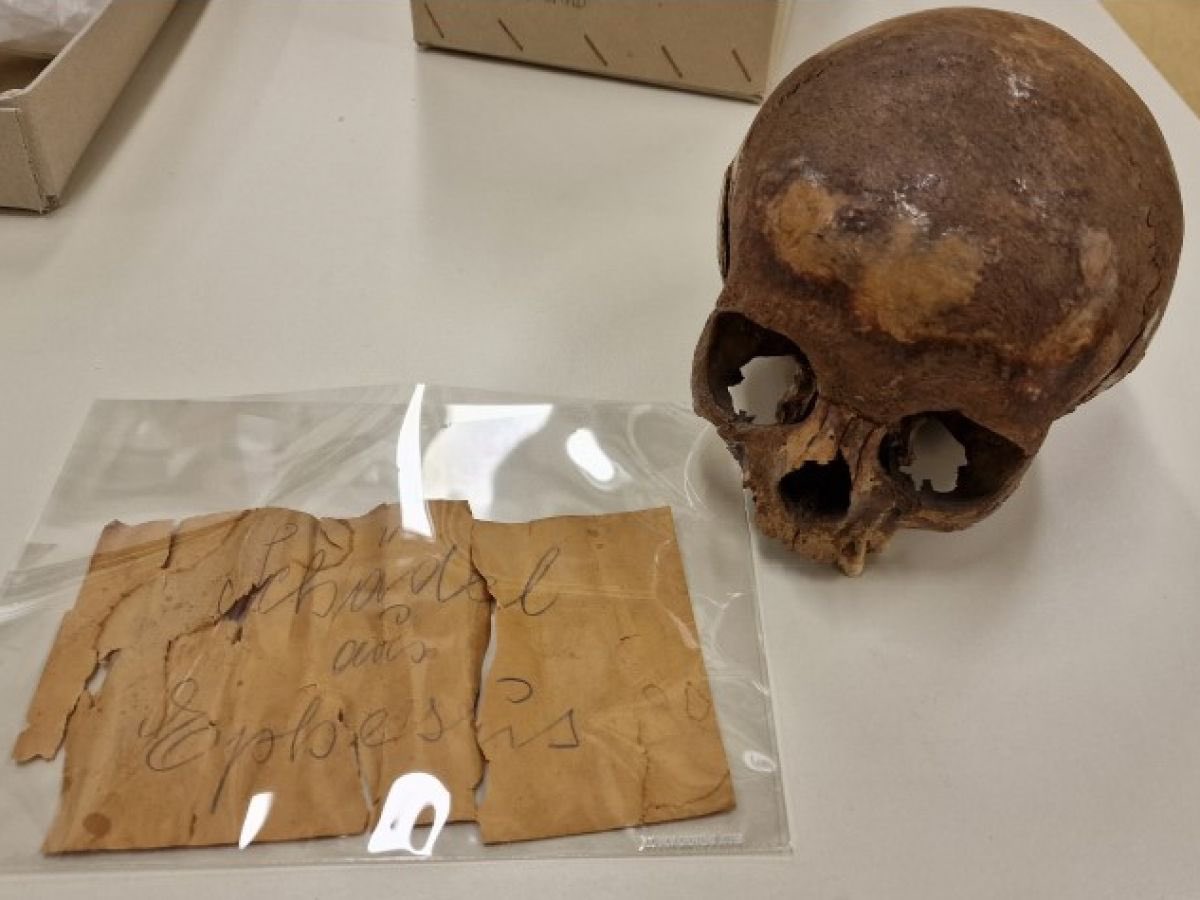 Marine Benoit tweet media