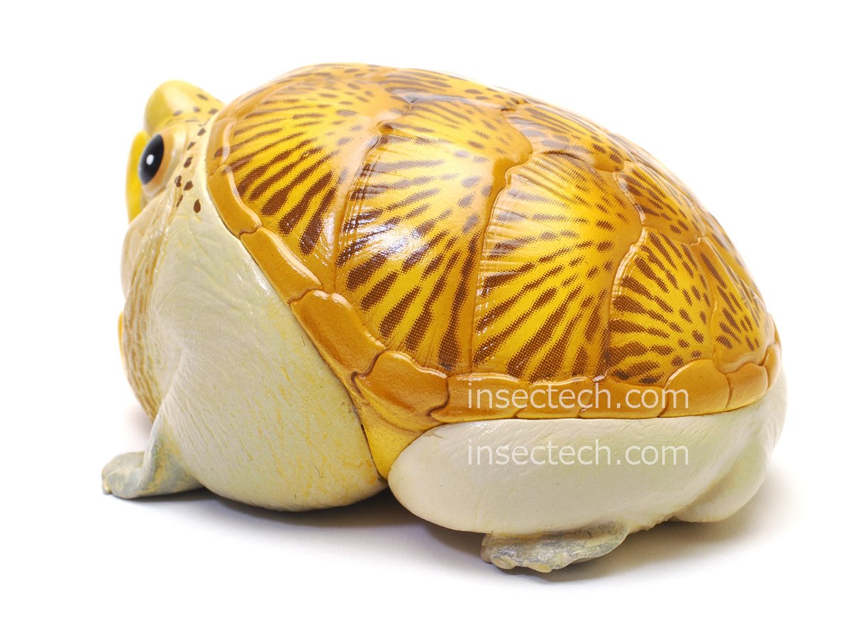 新年企画【動物の惑星】★ハラカケガメ開口（シークレット）★激レア! フィギュア 動物の惑星 #フィギュア 「シークレット」 ハラガケガメ（開口） 2025